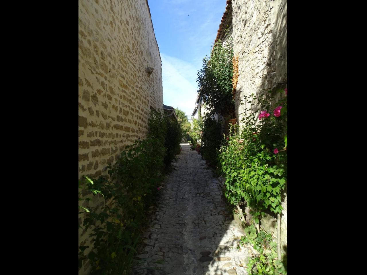 Maison Salicorne La Flotte Bagian luar foto